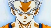 Gohan blanco2 Gohan blanco2