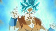 Goku ssgss
