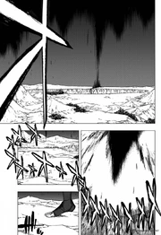 Bleach 421 8