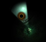 Eyesunlessea