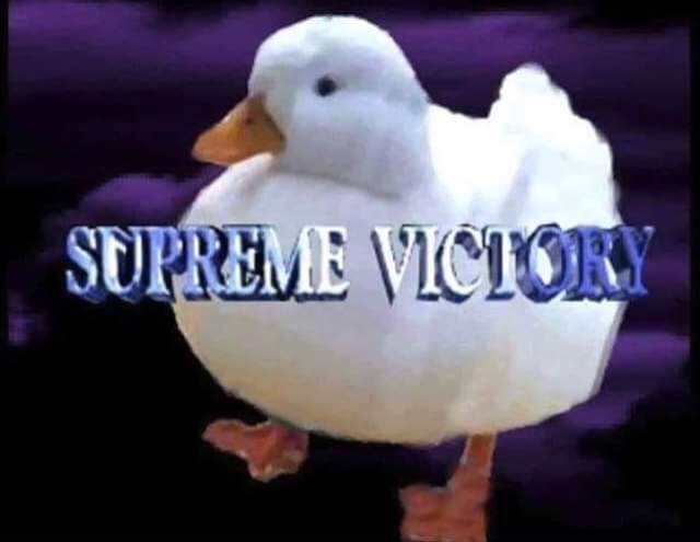 Received 613539119121585 Received 613539119121585