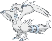 Reshiram Reshiram