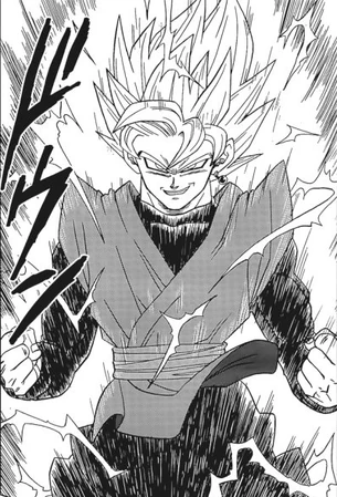 SSJ Goku Black SSJ Goku Black
