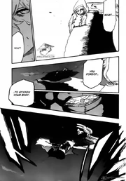 Bleach-4920417
