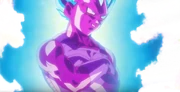 COPYVEGETAII
