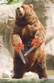 Ce564844ede058ebceb485f1d0775d94--bears-game-brother-bear Ce564844ede058ebceb485f1d0775d94--bears-game-brother-bear