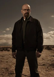 Cast bb 700x1000 walter-white-lg