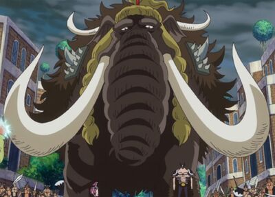 Jack (One Piece) | VS Battles Wiki | FANDOM powered by Wikia