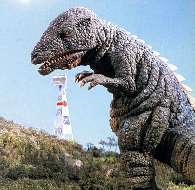 Gorosaurus3