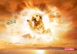 Dog-god