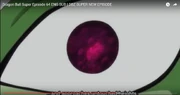 Capture 4