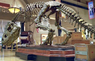 NATMRexy NATMRexy