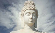 1469120385837