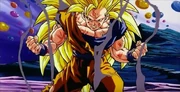 Gokucooked Gokucooked