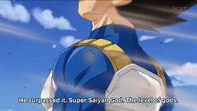 6666444 6666444