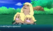 Dugtrio