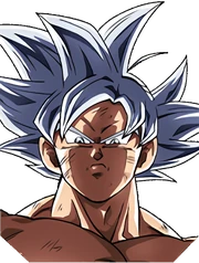 Ultra Instinct Goku Face