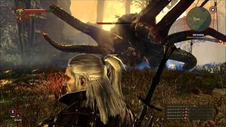 Witcher 2 How to kill Kayran