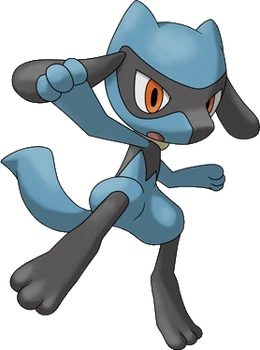 Riolu Riolu