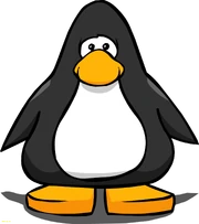 Penguin-club-penguin-wiki-beautiful-penguin-pictures