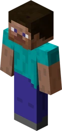 Steve Steve
