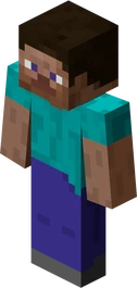 Steve