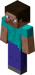 Steve Steve