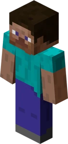 Steve