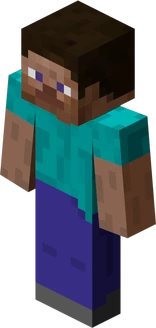 Steve