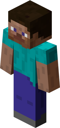 Steve Steve