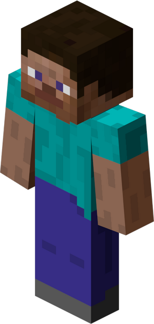 Steve.png