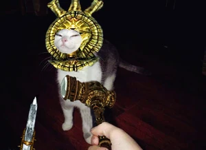 Dagoth Purr