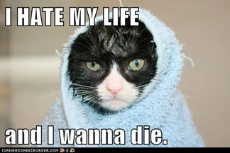 Fucklife Fucklife