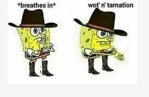 Wot n tarnation