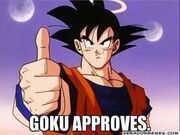 Goku approves