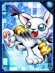 Tailmon re collectors card