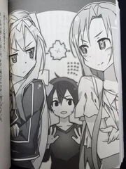 Alice vs asuna