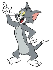 TomCatHeader