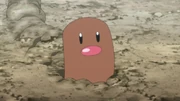 300px-Diglett anime