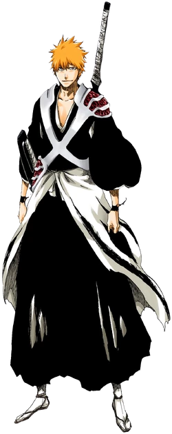 Ichigo Kurosaki True Shikai Ichigo Kurosaki True Shikai