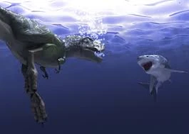 Trexvs