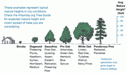 TreeGuidePossibly TreeGuidePossibly