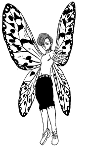 King NNT Fully Wings