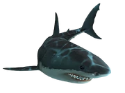 Jaws Unleashed shark