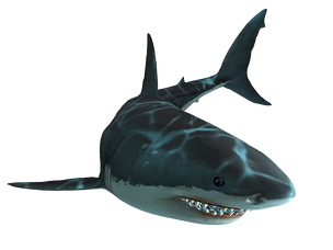 Jaws Unleashed shark