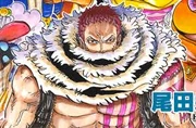 Katakuri widescreen