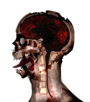 Necroa Zombie