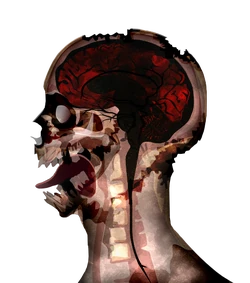Necroa Zombie