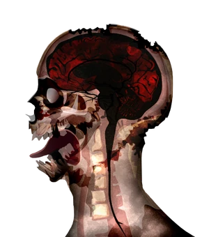 Necroa Zombie
