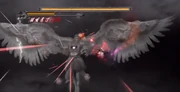Red spear Red spear